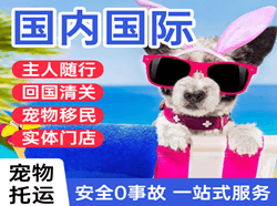 巴马空运地址国际宠物托运 【国
